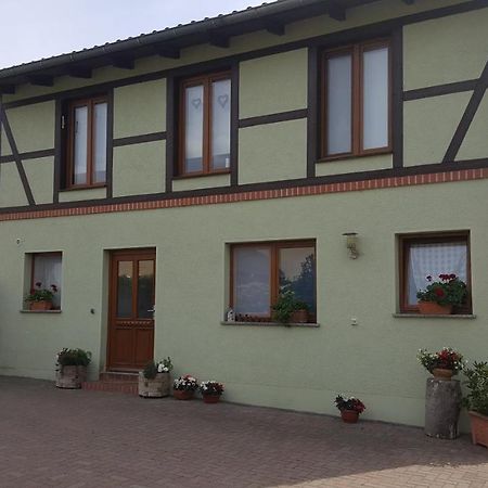 Ferienhaus Am Stadtpark Балленштедт Экстерьер фото